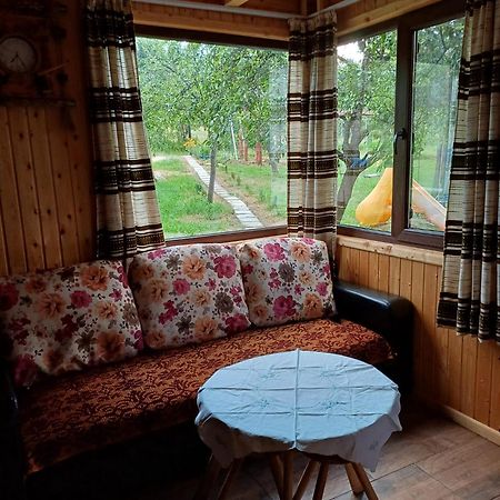 Casa Sara Nucsoara Hotel Buitenkant foto