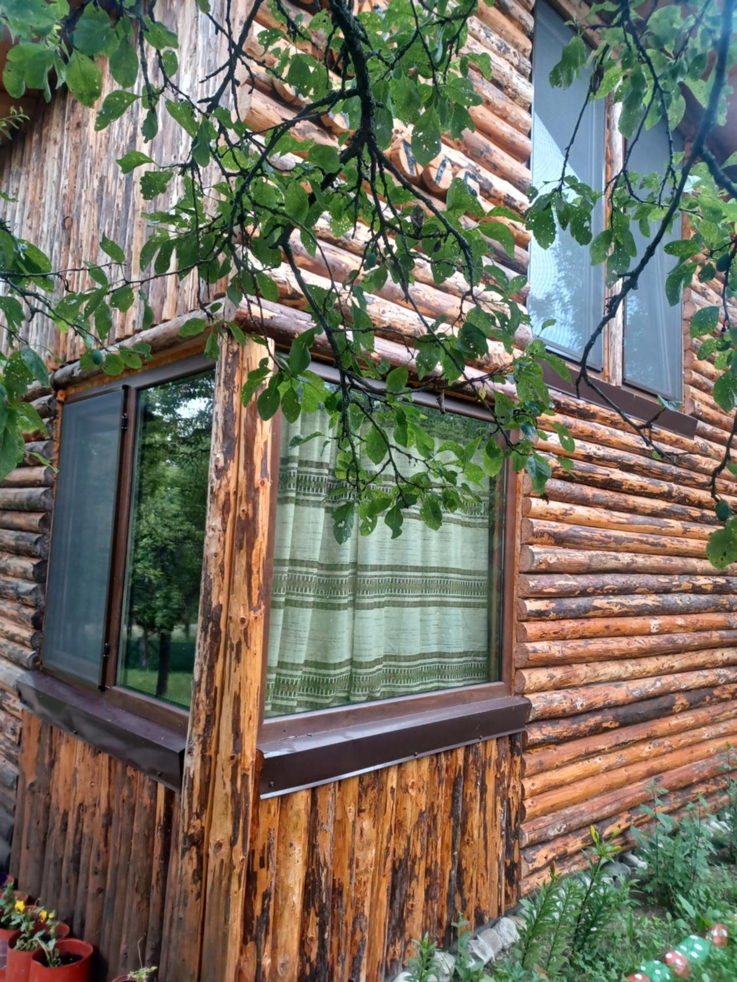 Casa Sara Nucsoara Hotel Buitenkant foto