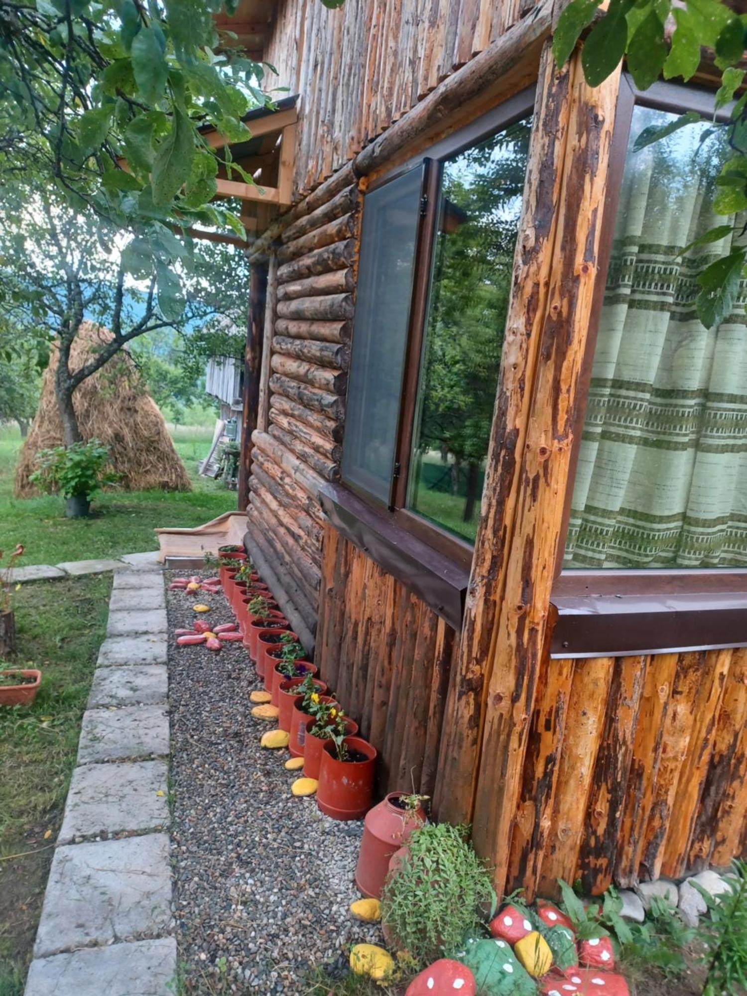 Casa Sara Nucsoara Hotel Buitenkant foto