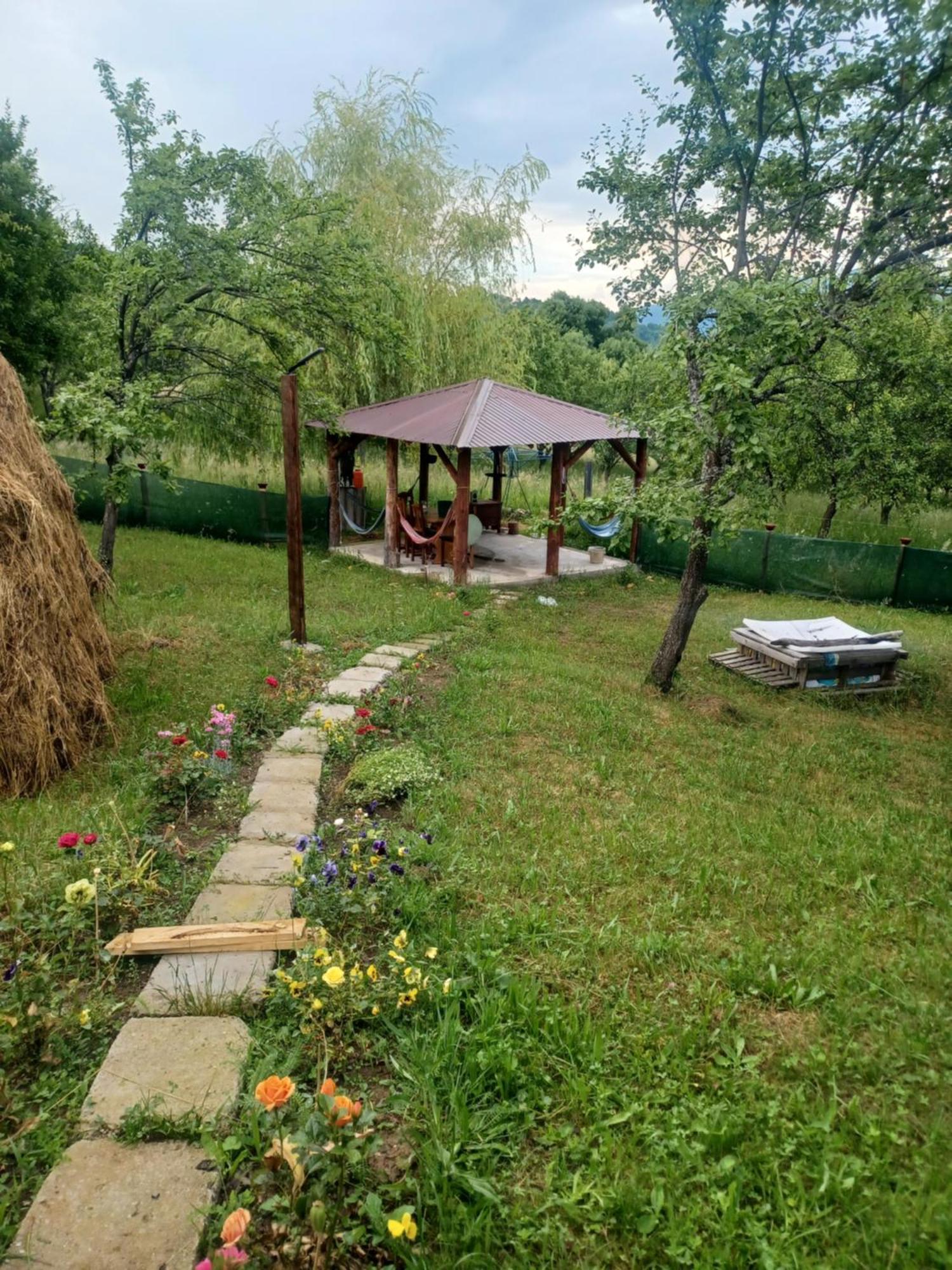 Casa Sara Nucsoara Hotel Buitenkant foto